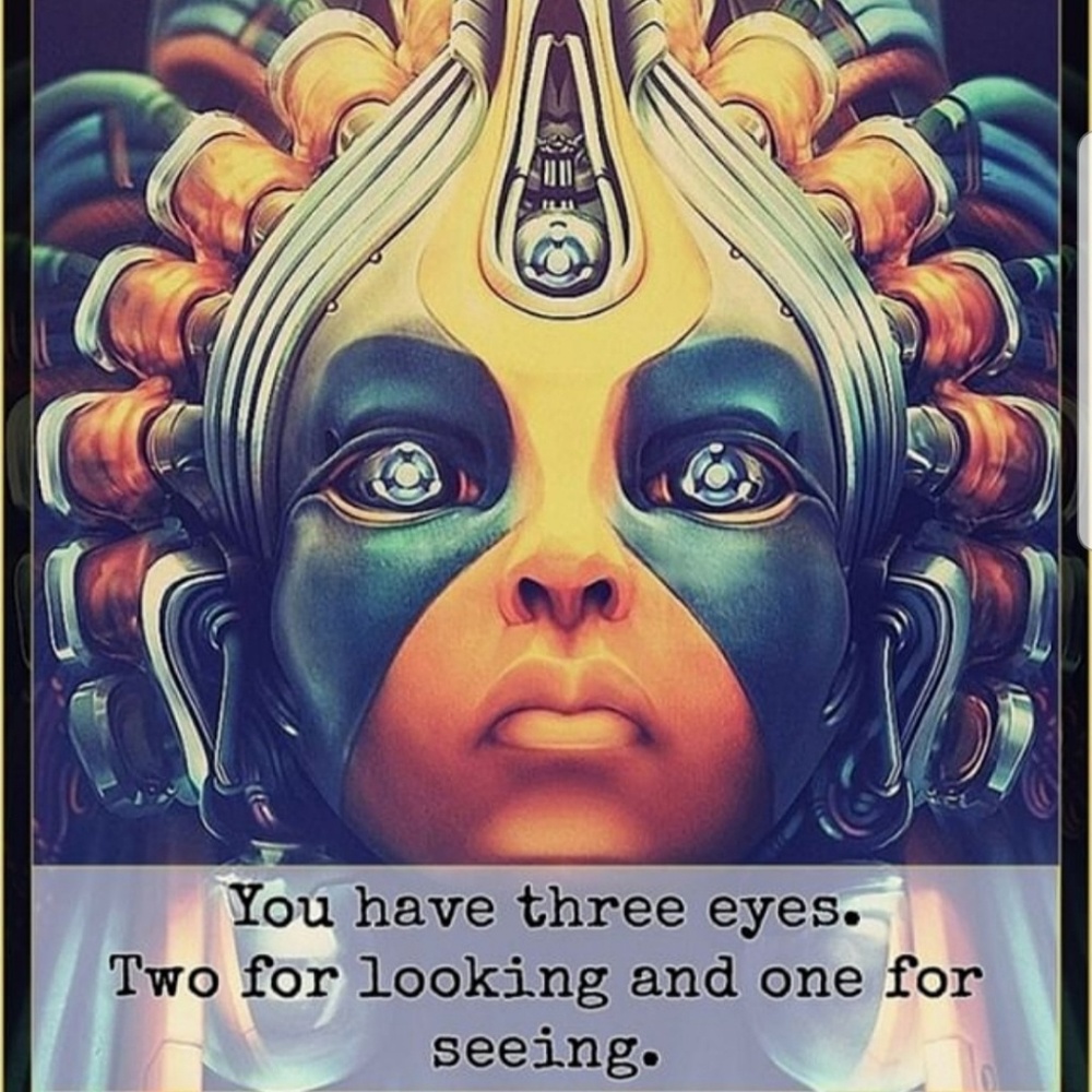 Meet your Posher, Barbara